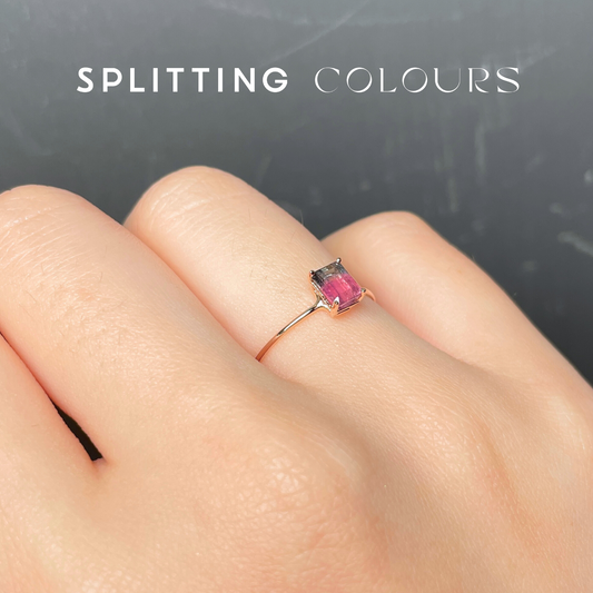 The Petite Ring - 0.58ct Watermelon Tourmaline