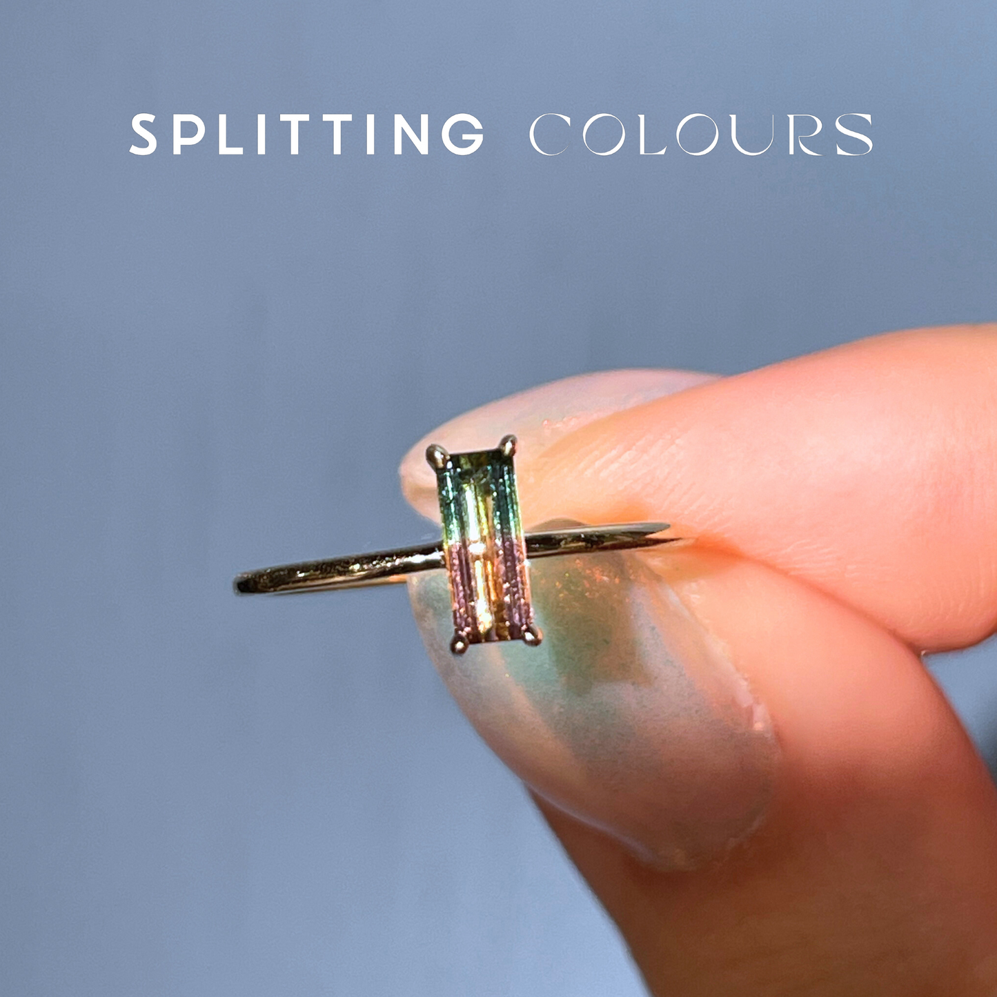 The Petite Ring - 0.30ct Watermelon Tourmaline