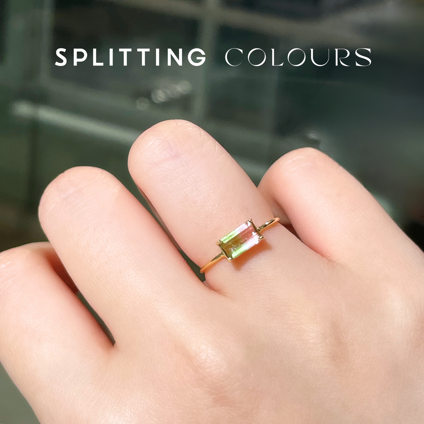 The Petite Ring - 0.68ct Watermelon Tourmaline