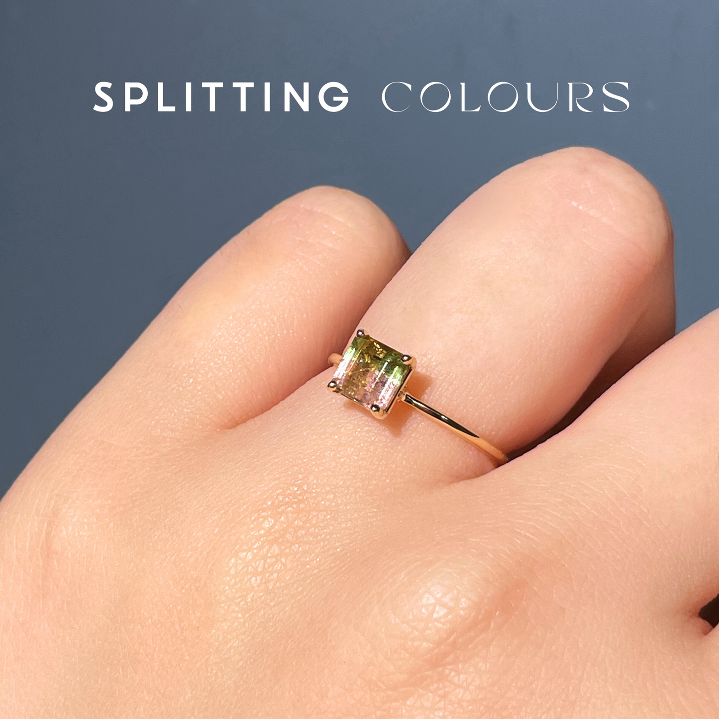 The Petite Ring - 0.64ct Watermelon Tourmaline