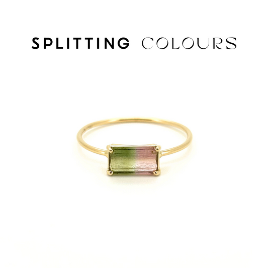 The Petite Ring - 0.68ct Watermelon Tourmaline