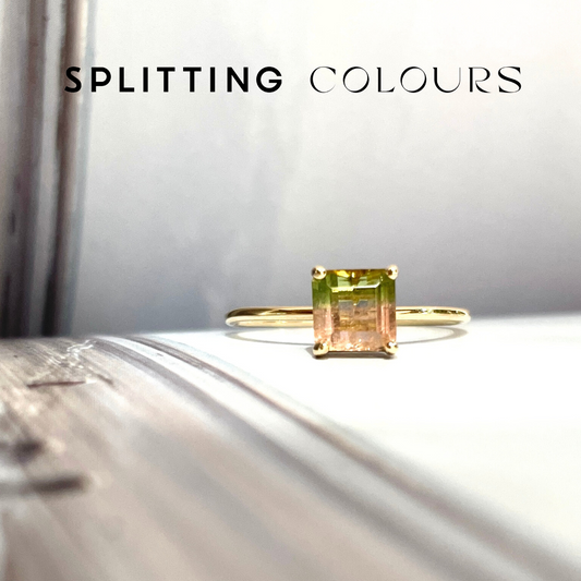 The Petite Ring - 0.64ct Watermelon Tourmaline