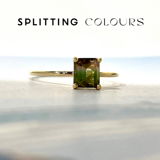 The Petite Ring - 0.69ct Watermelon Tourmaline