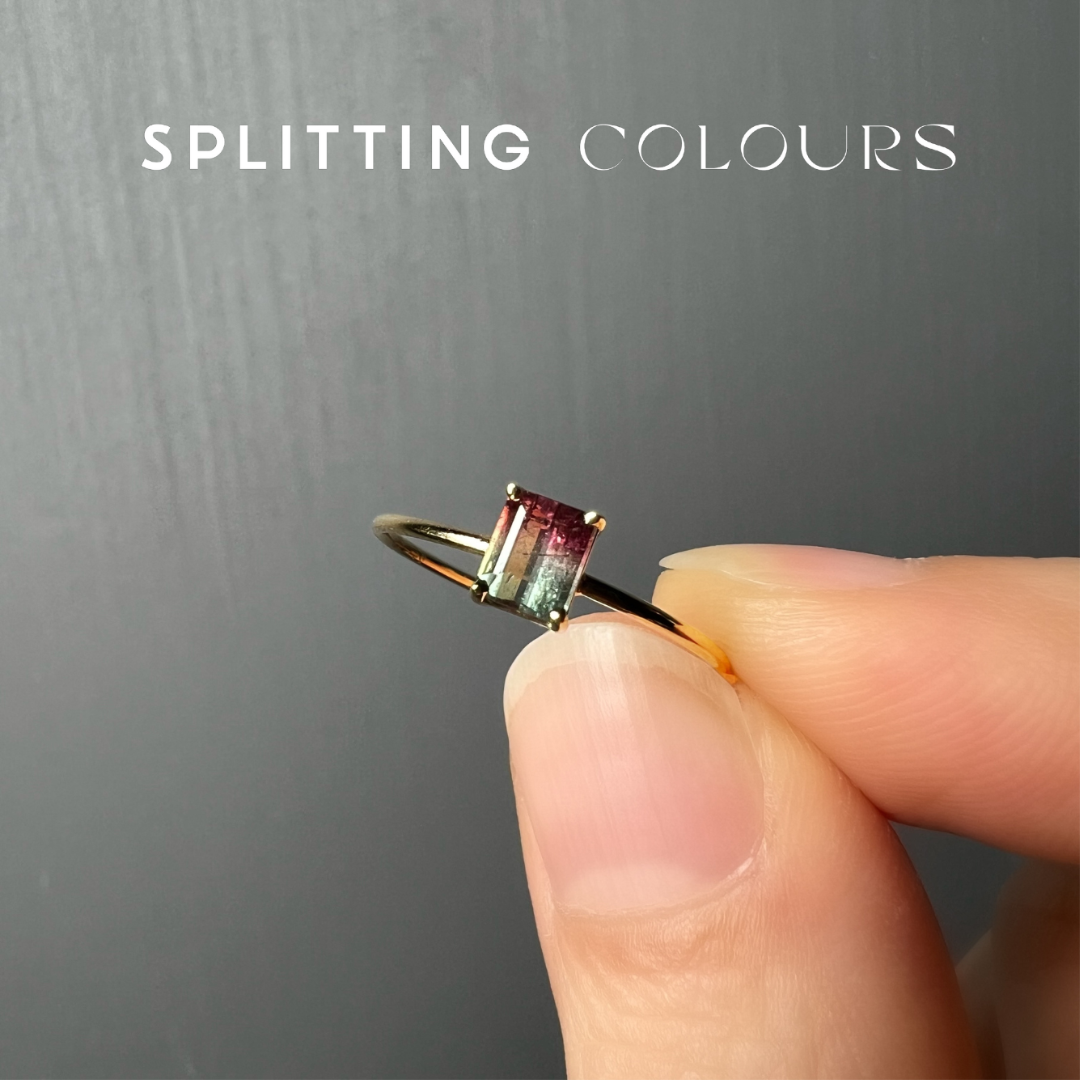 The Petite Ring - 0.30ct Watermelon Tourmaline