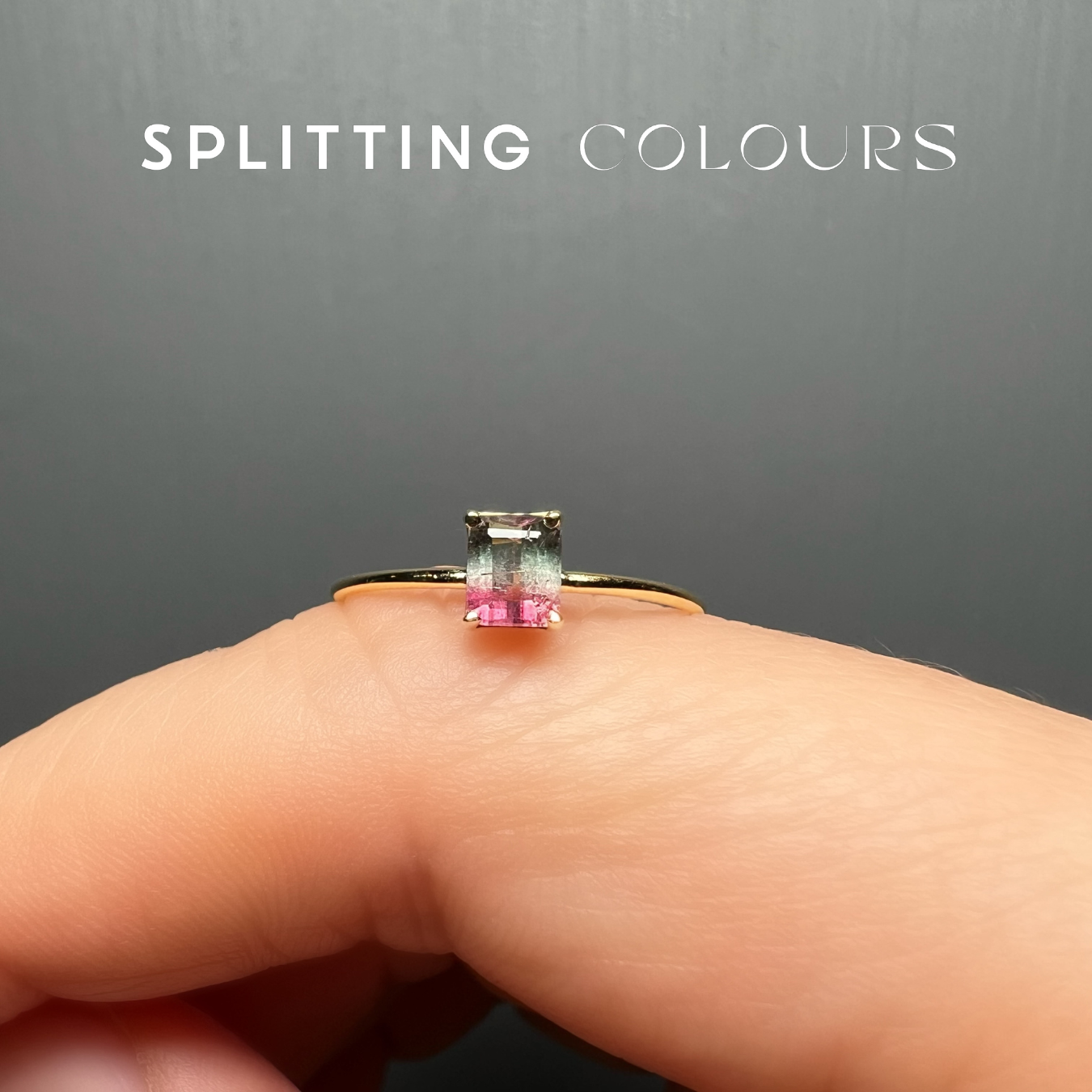 The Petite Ring - 0.30ct Watermelon Tourmaline