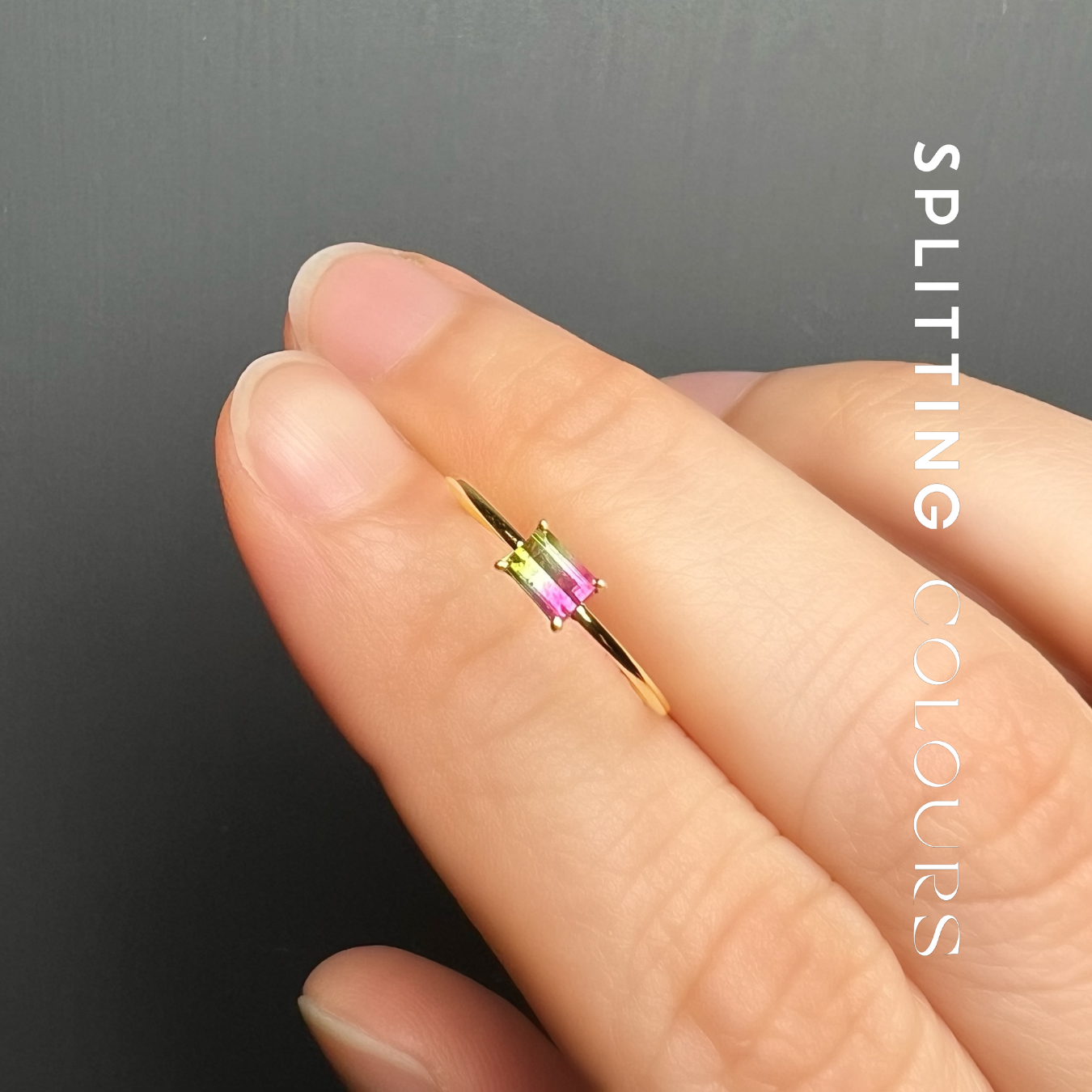 The Petite Ring - 0.21ct Watermelon Tourmaline