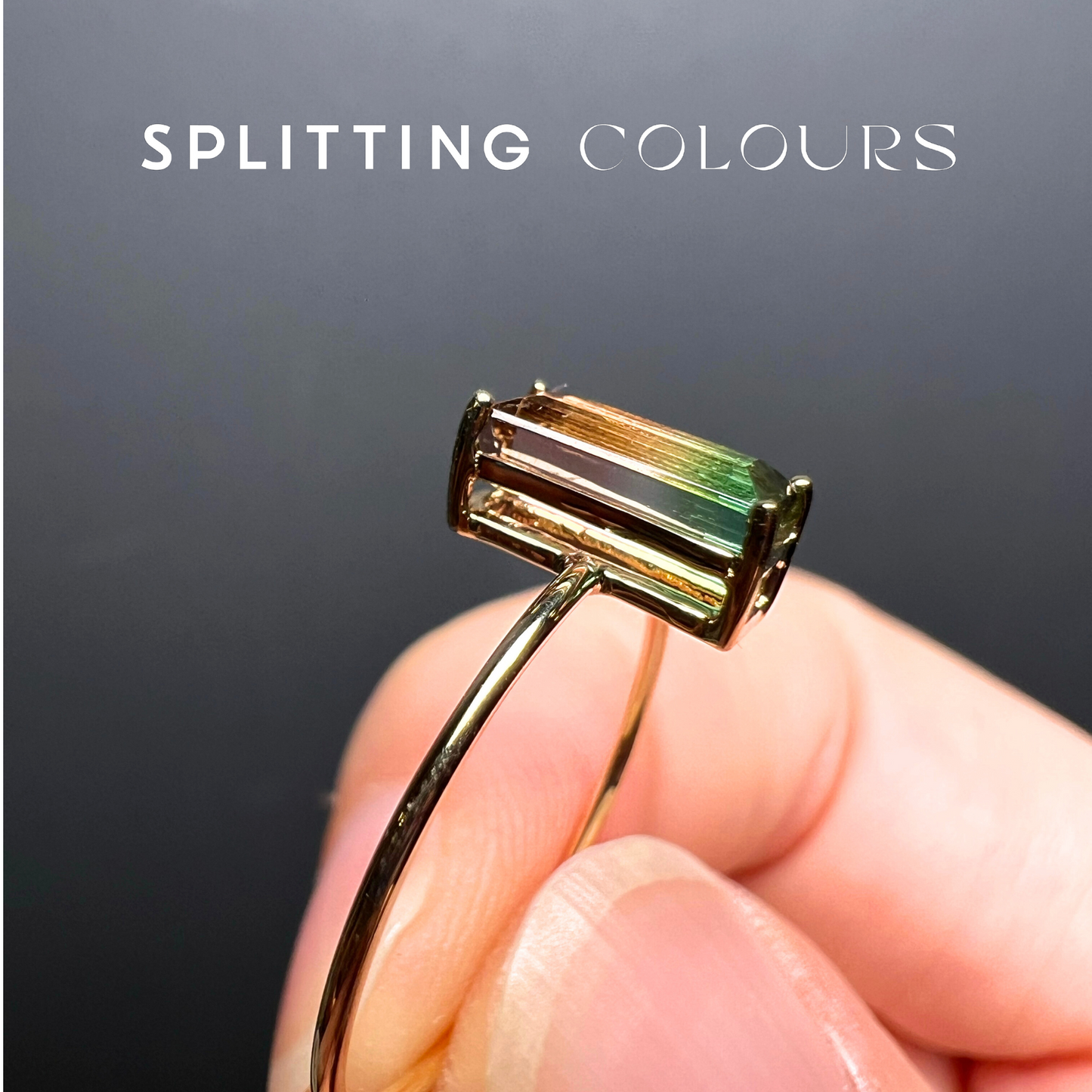 The Petite Ring - 0.78ct Watermelon Tourmaline