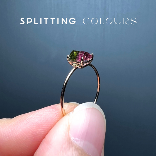 The Petite Ring - 0.64ct Watermelon Tourmaline