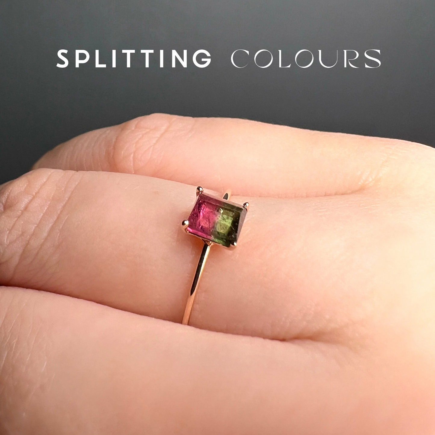 The Petite Ring - 0.64ct Watermelon Tourmaline