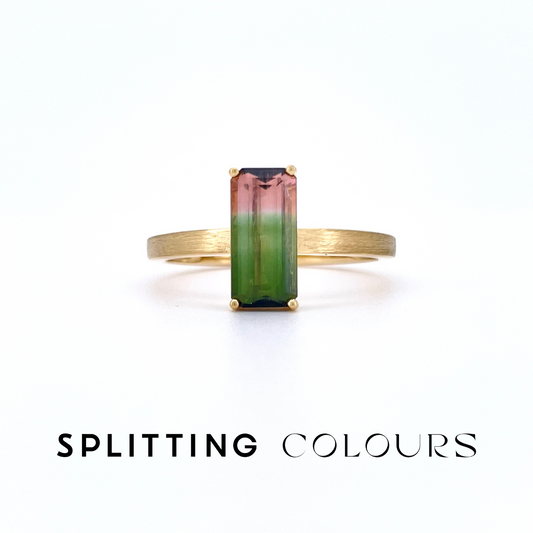 The Classic Ring - 1.26ct Watermelon Tourmaline