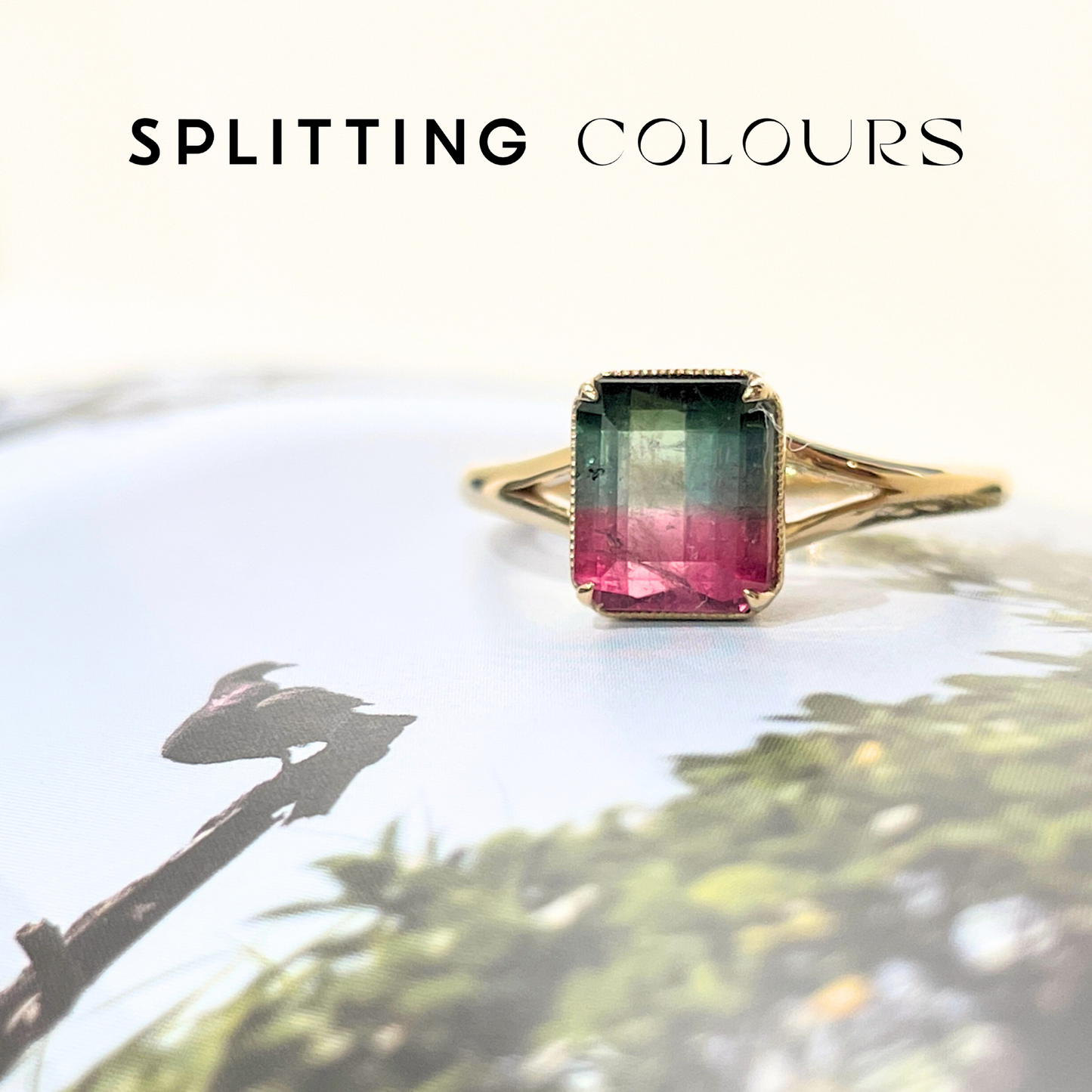 The Fusion Ring - 1.49ct Watermelon Tourmaline