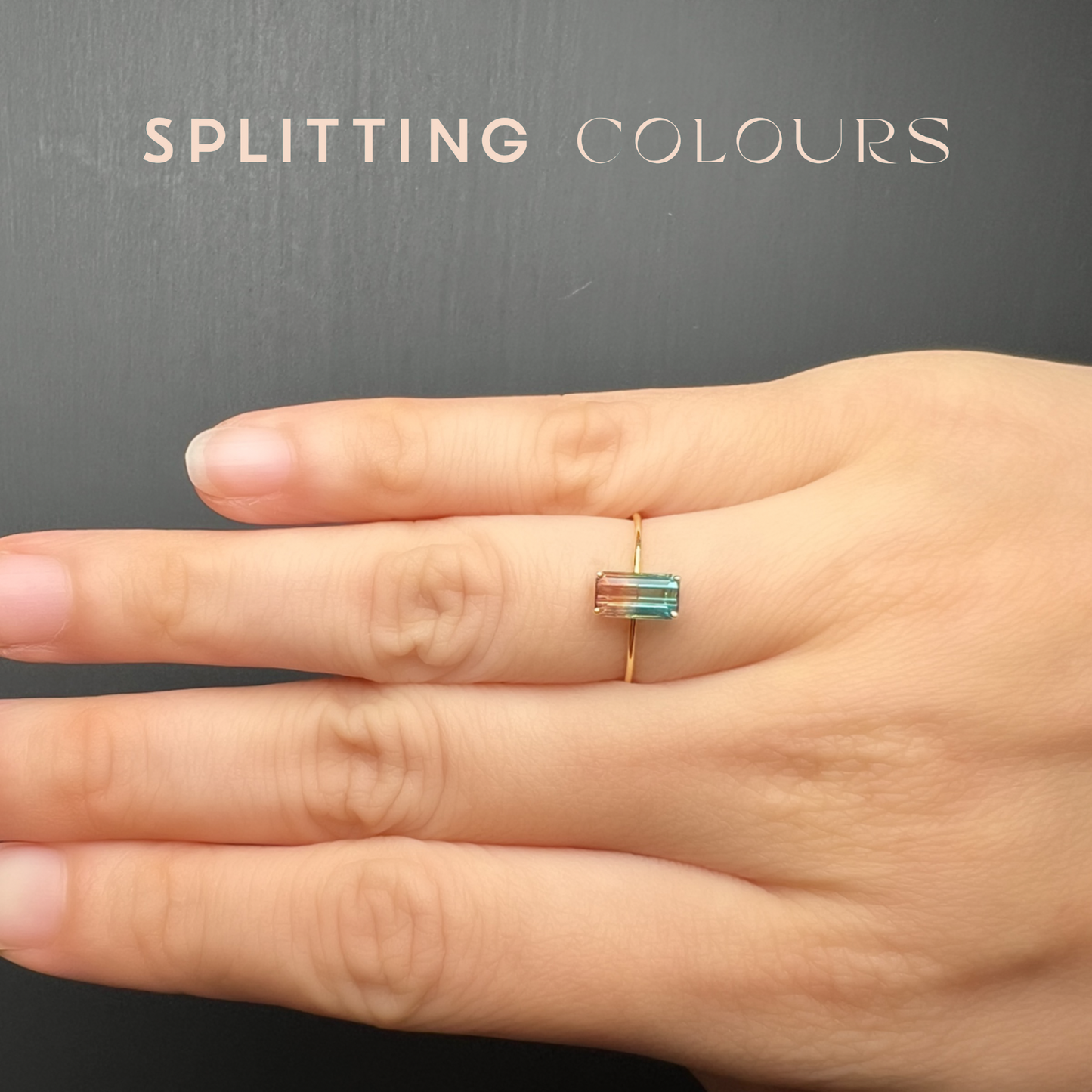 The Petite Ring - 0.78ct Watermelon Tourmaline