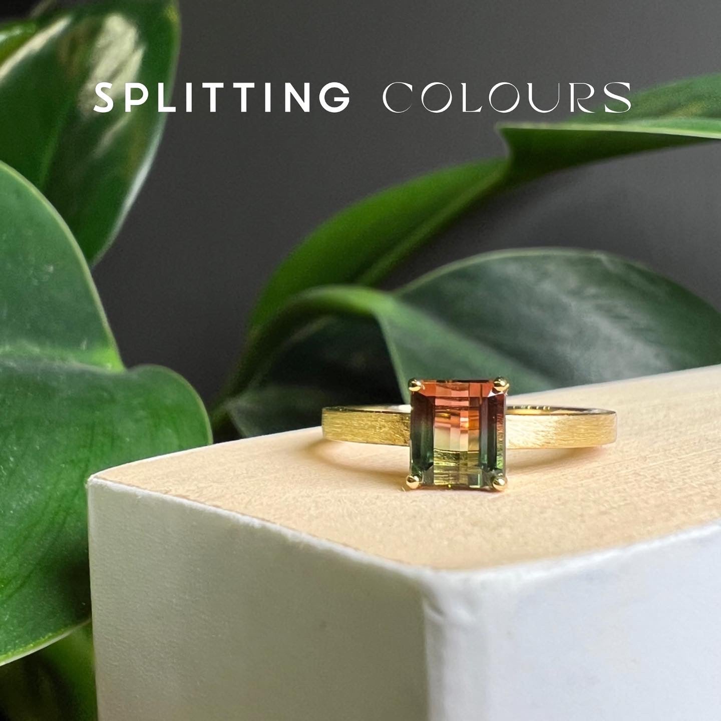 The Classic Ring - 0.97ct Watermelon Tourmaline