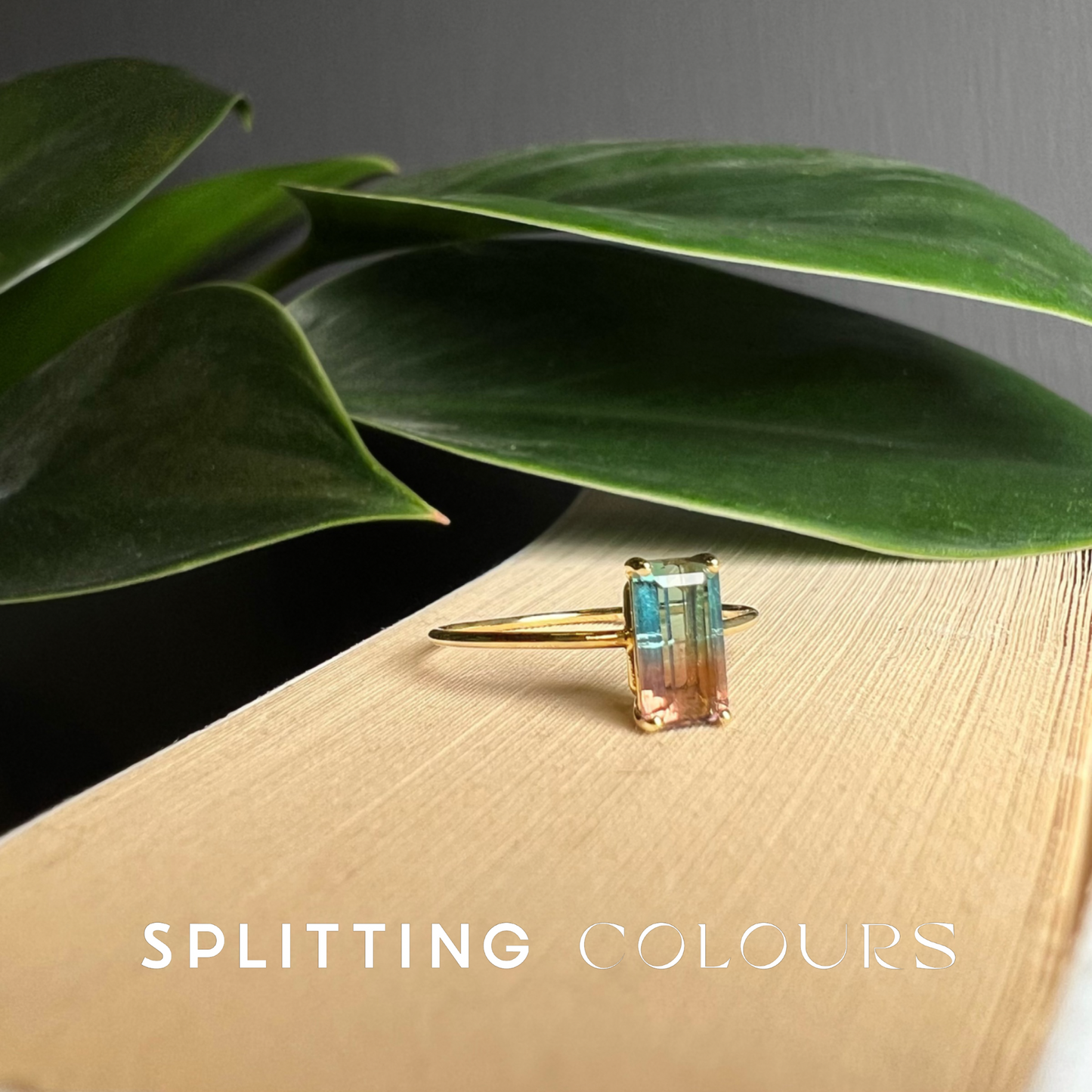 The Petite Ring - 0.78ct Watermelon Tourmaline
