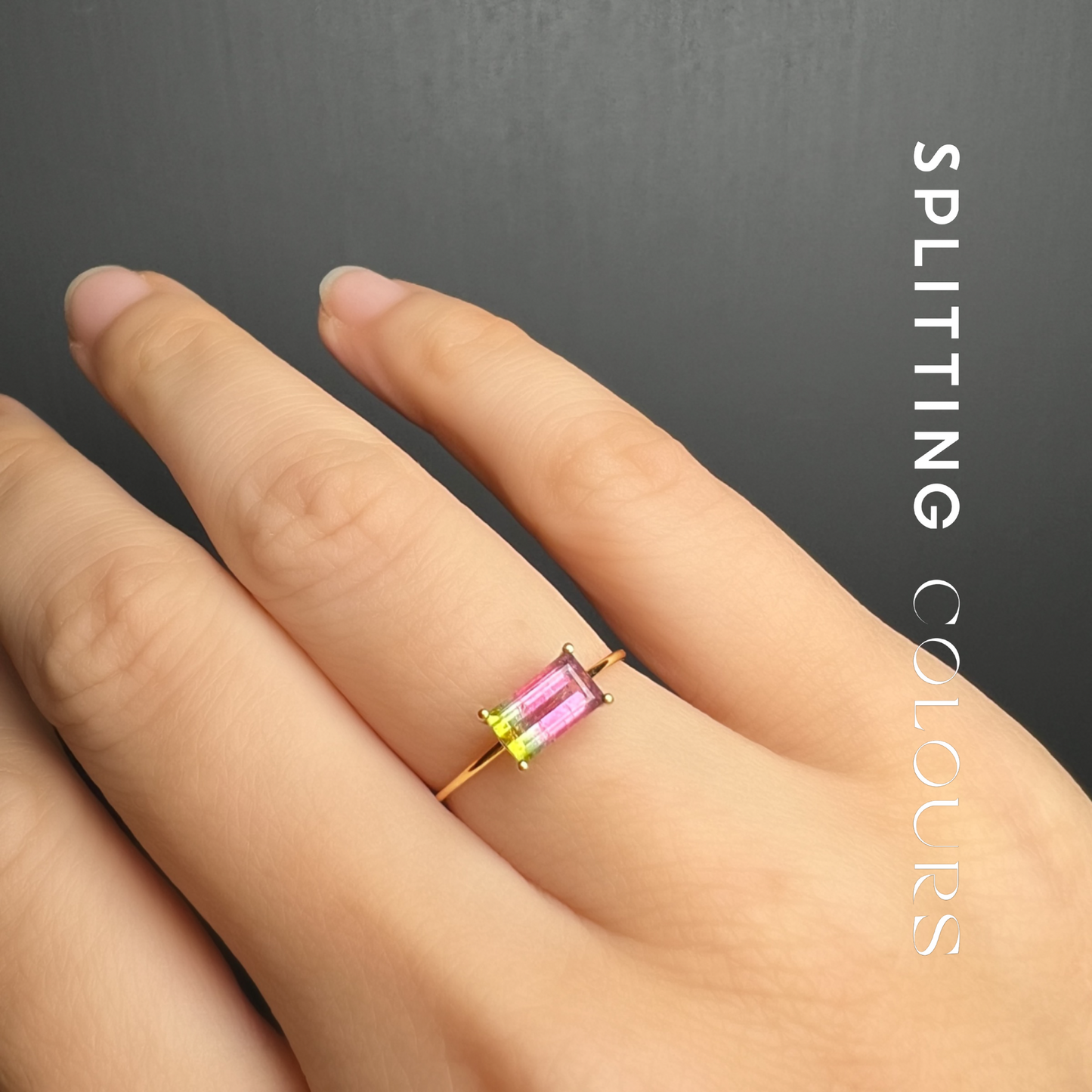The Petite Ring - 0.64ct Watermelon Tourmaline