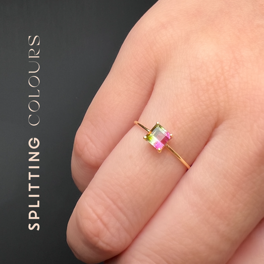 The Petite Ring - 0.49ct Watermelon Tourmaline