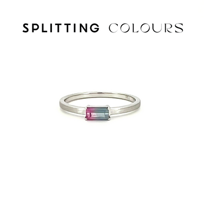 The Classic Ring - 0.22ct Watermelon Tourmaline