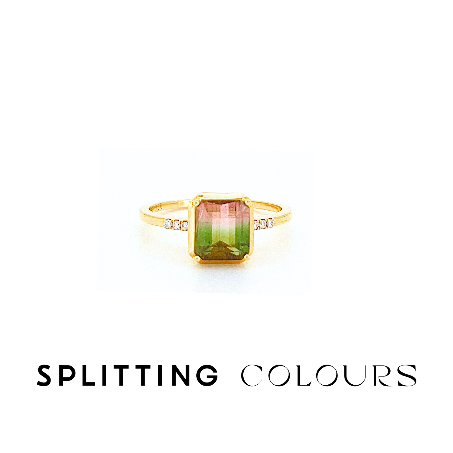 The Fusion Ring - 1.28ct Watermelon Tourmaline