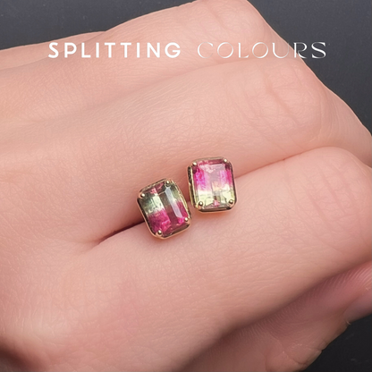 The Fusion Earrings - 1.66ct Watermelon Tourmaline