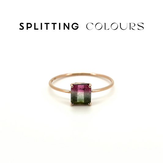 The Petite Ring - 0.75ct Watermelon Tourmaline