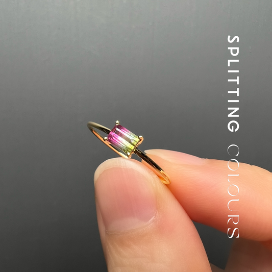 The Petite Ring - 0.21ct Watermelon Tourmaline